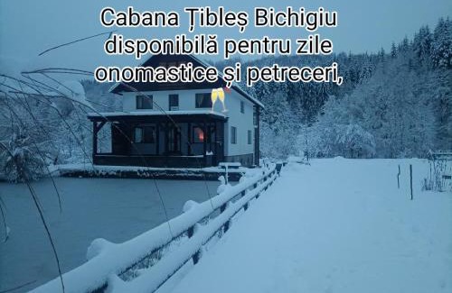 Cosbuc House | Explore Cabana Țibleș: Pet-Friendly Retreat with Breakfast
