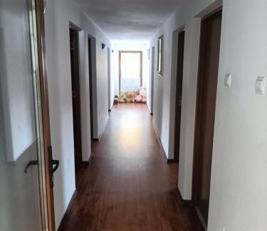 Cosbuc House | Explore Cabana Țibleș: Pet-Friendly Retreat with Breakfast