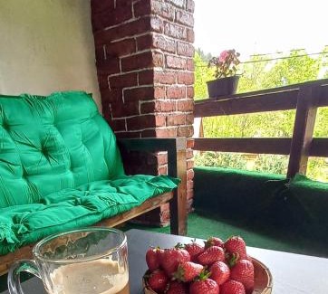 Vadu Motilor Cabin | Explore Cabana Ana: Oceanfront Retreat with Pet-Friendly Perks