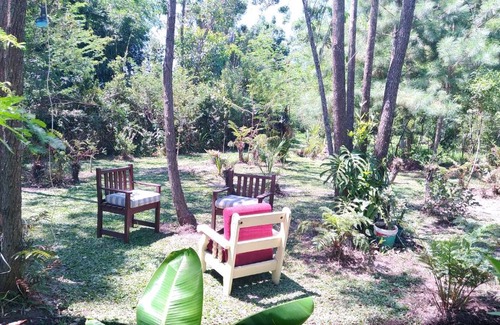 Sapiranga Other | Pet-Friendly Cabana Bambu - Guest Rated 10/10 Experience