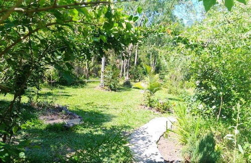 Sapiranga Other | Pet-Friendly Cabana Bambu - Guest Rated 10/10 Experience