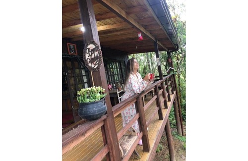 Rancho Queimado House | Pet-Friendly Cabana Casa da Floresta - Top-Rated Retreat