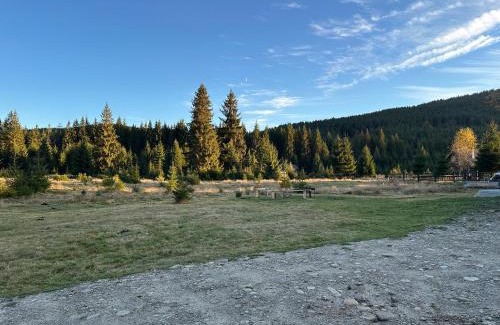 Covasna Ski Chalet | Top-Rated CabanA Comandău: Pet and Child Friendly Stay
