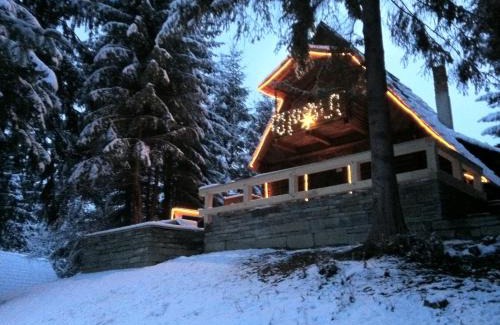 Viseu de Sus Ski Chalet | Pet-Friendly Cabana Craita: Guest Rated 10/10 Stay!