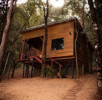 Cambui Ski Chalet | Guest Rated 10/10: Cabana das Árvores com Hot Tub