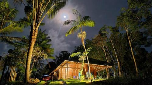 Itacare House | Discover Family-Friendly Retreat at Cabana das Mandalas