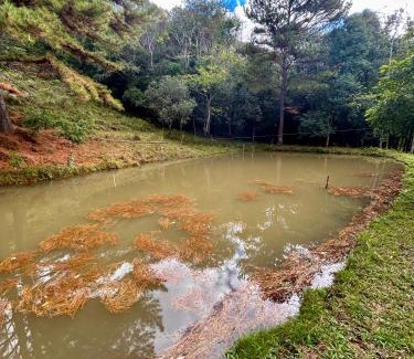 Caxias do Sul House | Pet-Friendly Retreat at Cabana das Montanhas - Rated 9.9/10