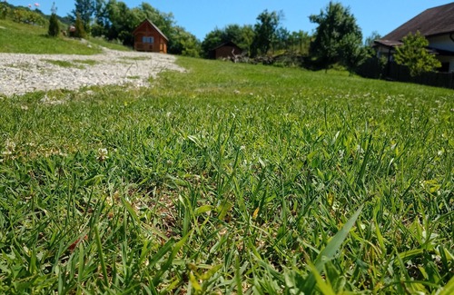 Gura Suhasului Cabin | Peaceful Cabana for Rent in Ocnele Mari, Valcea Region