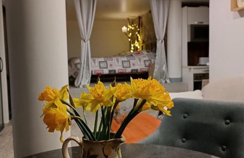 Colibita Apartment | Pet-Friendly Retreat at Cabana de pe Stanca - 10/10 Rated