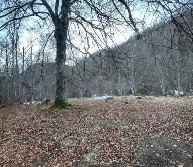 Perisani Other | Cabana de vis și pescuit