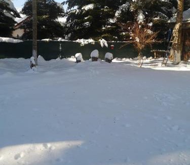 Traisteni House | Idyllic Cabana din Poveste in Valea Doftanei - 10/10 Rated