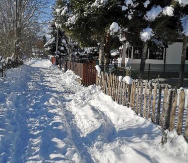 Traisteni House | Idyllic Cabana din Poveste in Valea Doftanei - 10/10 Rated