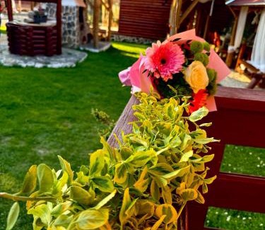 Armaseni Noi House | Perfect Getaway at Cabana Dzsesszika & Erik: Pet-Friendly Retreat
