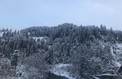 Garda de Sus House | Kid-Friendly Getaway at Cabana Felyviss - Rated 8.6/10