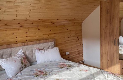 Avram Iancu Other | Cozy Cabana la Pârvu: Family and Pet-Friendly Retreat