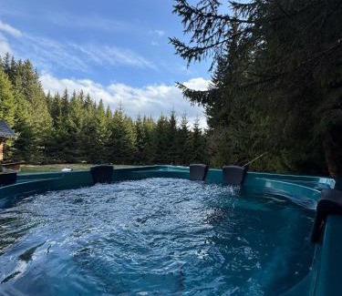 Busteni Cabin | Experience MountHoff Retreat: Family-Friendly Getaway!