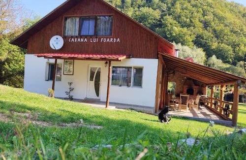 Calugareni House | Cabana lui Foardă: Guest Rated 9.8 with Oceanfront Views
