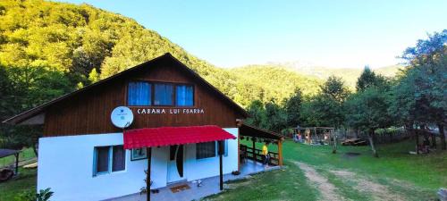 Calugareni House | Cabana lui Foardă: Guest Rated 9.8 with Oceanfront Views
