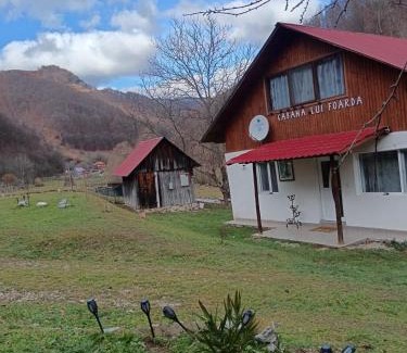 Calugareni House | Cabana lui Foardă: Guest Rated 9.8 with Oceanfront Views