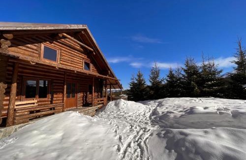 Tau Bistra Ski Chalet | Unforgettable Family Stays at Cabana Lupilor - 10/10 Rated
