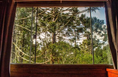 Cambara do Sul Cabin | Pet and Child Friendly Retreat at Cabana na Floresta