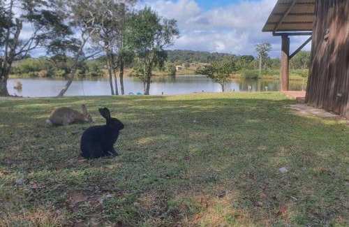 Nova Petropolis House | Top-Rated Cabana No Alto do Morro: Family-Friendly Retreat