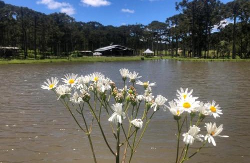 Bom Jardim da Serra House | Elegant Escape at Casa no Paraíso das Araucárias
