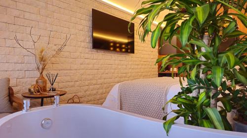 Universitario House | Discover Cabana Pinot Noir – A Unique Escape Awaits