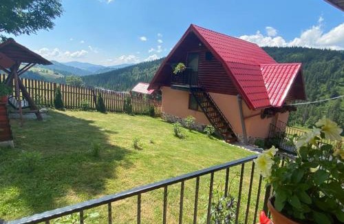 Arieseni House | Family-Friendly Cabana Popasul Vânătorului with Kitchen Access