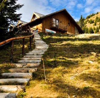 Sinaia Cabin | Top-Rated Cabana Stana Tarle with Hot Tub & Breakfast
