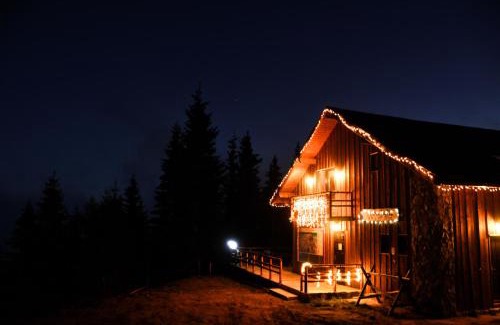 Sinaia Cabin | Top-Rated Cabana Stana Tarle with Hot Tub & Breakfast