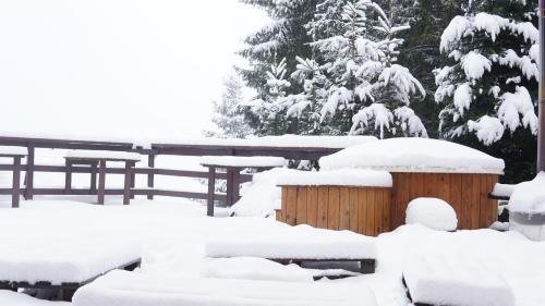 Rausor Cabin | Discover Cabana "Trei Brazi" Retezat: Beachfront Bliss Awaits