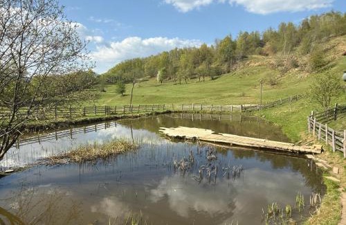 Telciu House | Cabana Valea Lungă