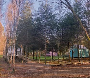 Touro Other | Experience Cabanas da Ulla: 9.5/10 Guest Rated Oasis