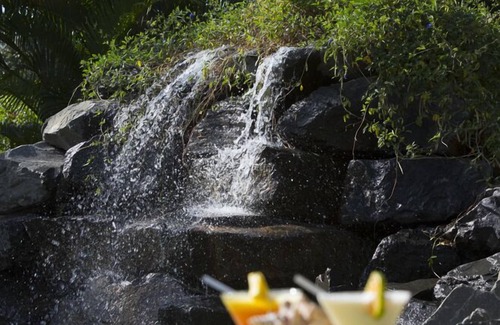 Copecito Bed & Breakfast | Cabanas los Colibris