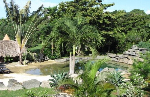 Copecito Bed & Breakfast | Cabanas los Colibris