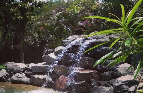 Copecito Bed & Breakfast | Cabanas los Colibris