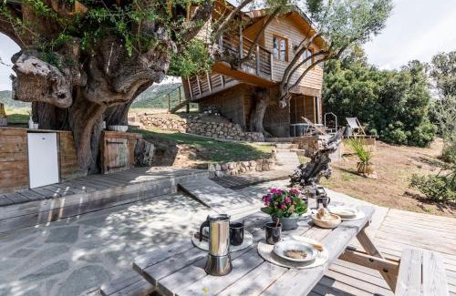 Olmeto House | Family-Friendly Retreat at Cabane Dans les Arbres, Ogliastru