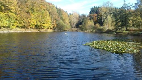 Saint-Nabord Other | Pet-Friendly Cabin Getaway at Cabane de l'aventurier