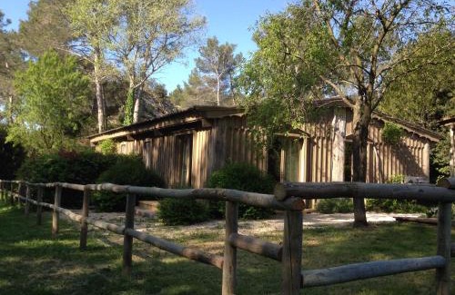 Saint-Etienne-du-Gres House | Cozy Cabane de la Leque: Pet-Friendly Oceanfront Escape
