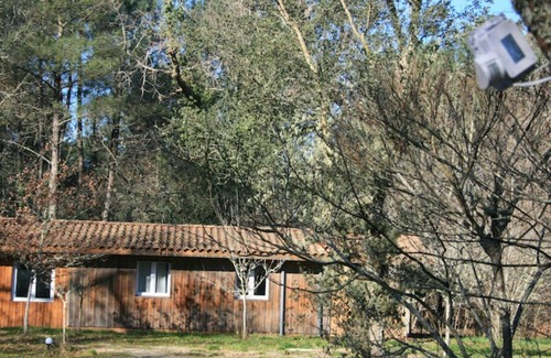 Labouheyre Cottage | Nature's Retreat: Cabane en Pleine Nature - Domaine Temali