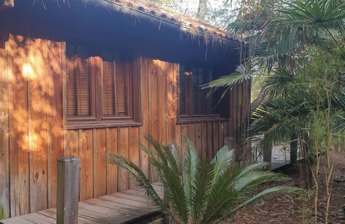 Cap-Ferret Cabin | Discover Cabane Ferret Capienne: Steps from Ocean Bliss