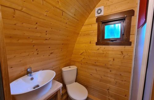 Pouligny-Notre-Dame House | Cabane forestière avec terrasse près de la base nautique - FR-1-591-644