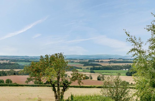 Chirnside Cottage | Cozy Cottage for 2: Pet-Friendly with Kitchen Amenities