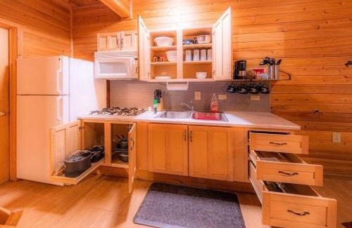 Christopher Creek Ski Chalet | Pet-Friendly Cabin #1 Buffalo Herd with Game Room & Pool