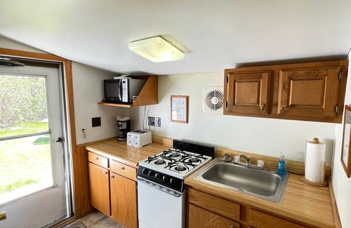 Brier Hill Cabin | Pet-Friendly Cabin 1 with Dock Access and Large Yard
