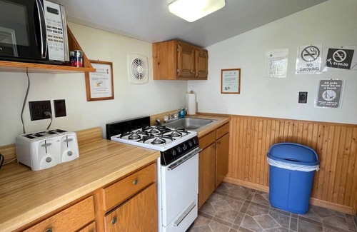 Brier Hill Cabin | Pet-Friendly Cabin 1 with Dock Access and Large Yard