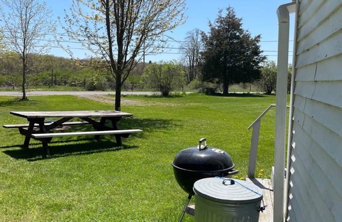 Brier Hill Cabin | Pet-Friendly Cabin 1 with Dock Access and Large Yard