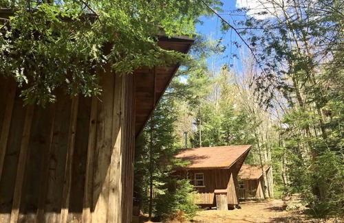 Waterbury Cabin | Cozy Cabin 2: Experience the Charm of an Austrian Chalet