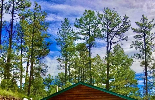 Sacramento Cabin | Cabin #3 Clean Cozy Cabin next to Lincoln National Forest